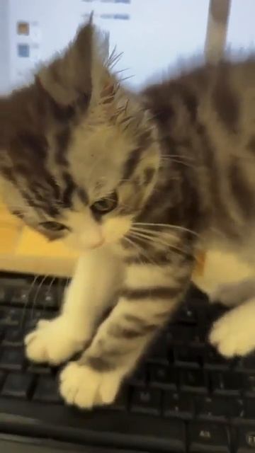 Работа заблокирована 🤣 смотреть онлайн