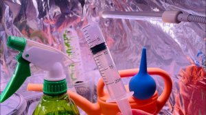 НЕ ЗАЛЕЙ! НЕ ВЫСУШИ! Уход до всходов! Взошли на 2 день