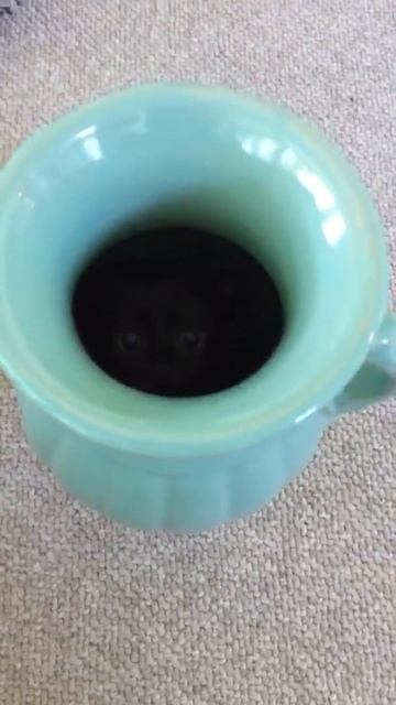 Такой концовки я и сам не ожидал (165) смотреть онлайн