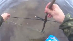 Хожу как на работу,проверять финки на колах!Белое море