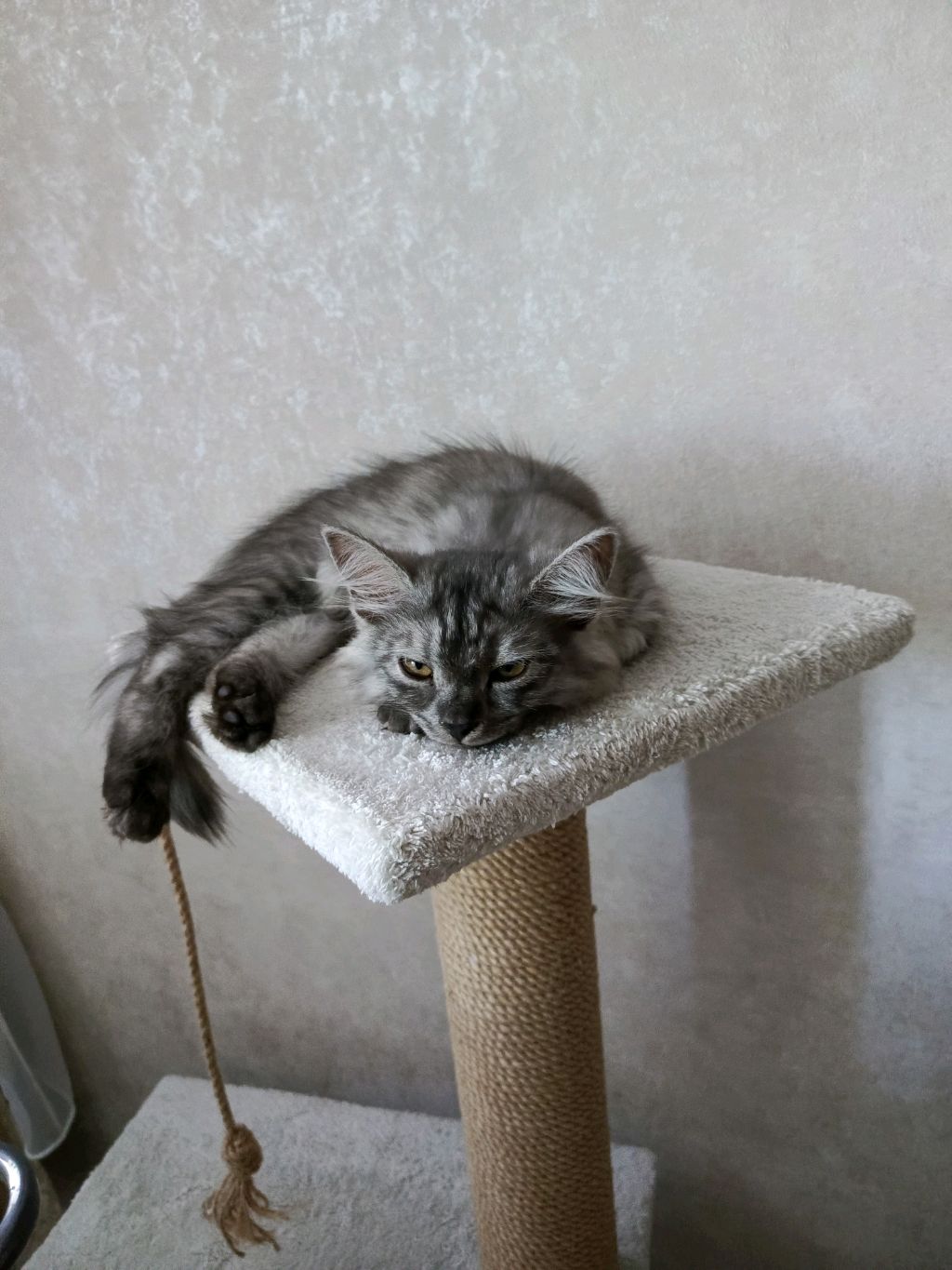 пикми Даша на месте💓 смотреть онлайн