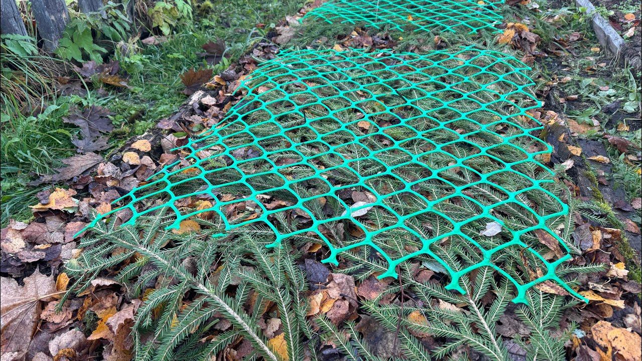 18.10.25 влог: лук сажаю, розы укрываю, садовую аптечку на зиму в тепло! смотреть онлайн