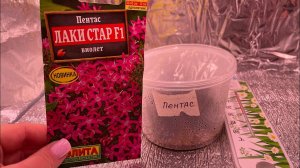ПЕНТАС сею на рассаду!