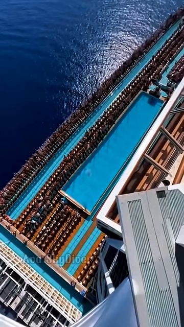 Бассейн судна смотреть онлайн