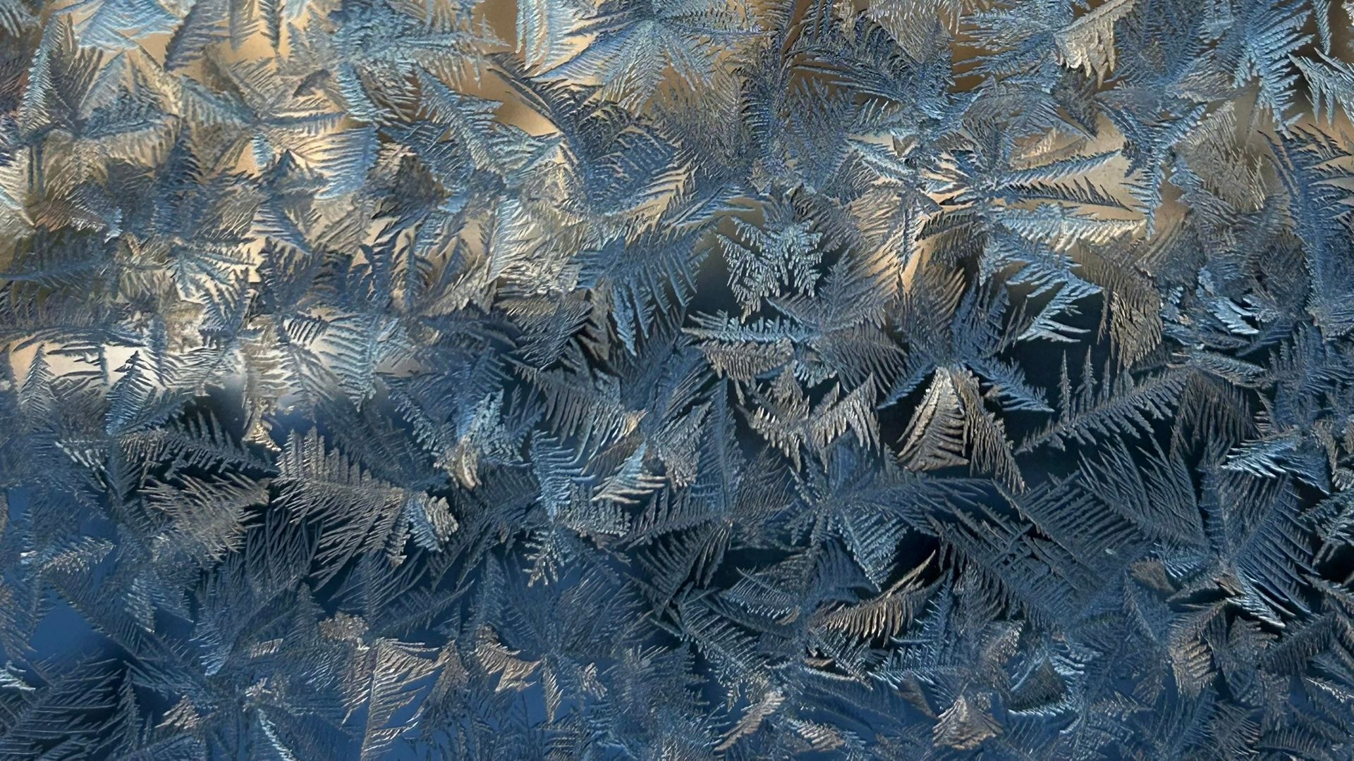 LooMuseVibes - Liquid Geomentry смотреть онлайн