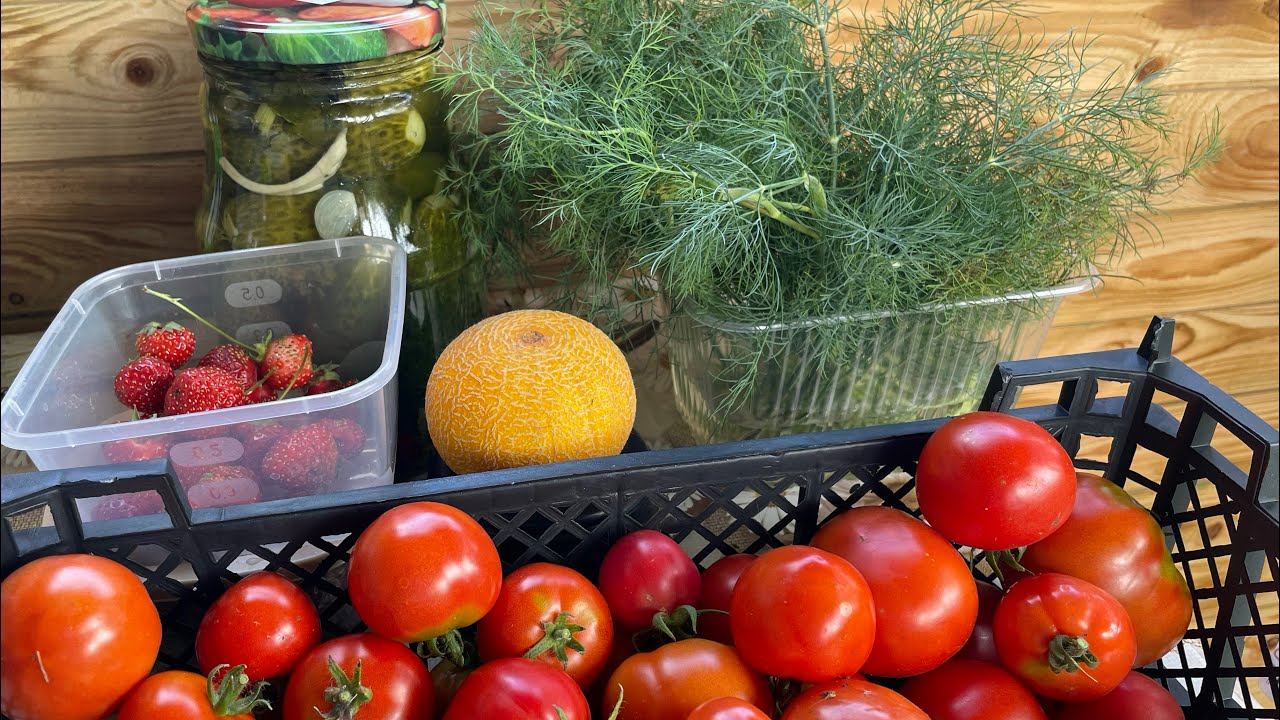 Отпуск в деревне. Огородные заботы в кайф! Неделя первая смотреть онлайн