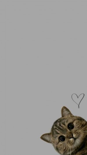 приветик 🎀🌹