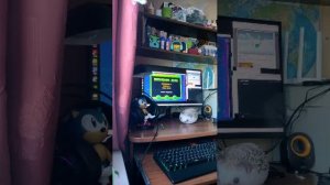 тестовый стрим