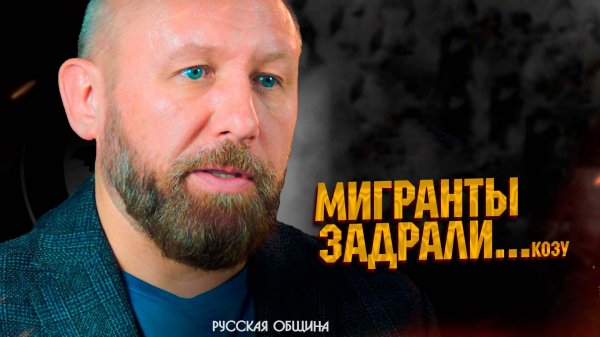 РУССКАЯ ОБЩИНА: Мигранты задрали... козу! #россия #важное #новости