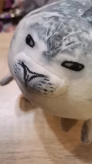 Скулбой... С ТЮЛЕНЕМ!