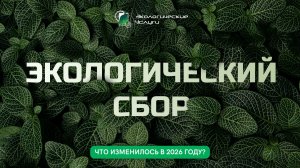 Как не получить штраф за экологический сбор в 2026 году?