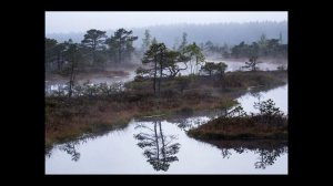 "Знающий".Рассказ (байки деда Мыколы). Глава 3. Читает автор.