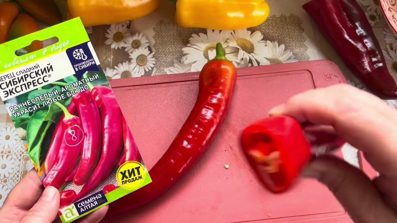 Обзор сортов сладкого перца с дегустацией! СУПЕР и не очень смотреть онлайн