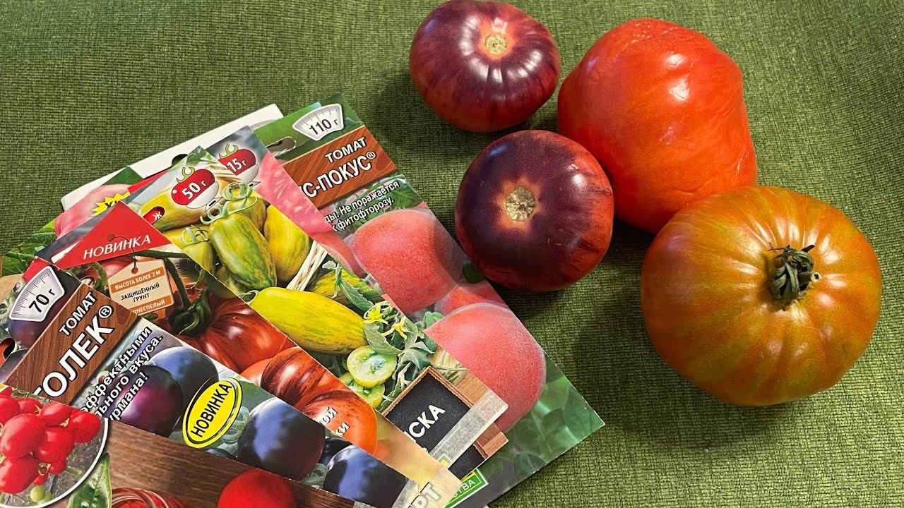 Выбрасываю семена ТОМАТОВ, какие оставила? ИТОГИ 2022 смотреть онлайн