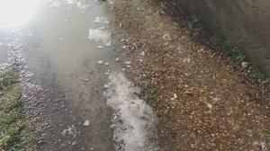 У нас весна, у нас капель +14!