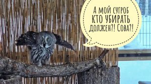 Мы заблокированы в деревне.Дорогу от трассы до деревни нам не чистят и не говорят,кто должен чистить