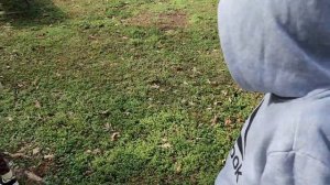 #376 Family Vacation Vibes  Nature Walk at a Wildlife Sanctuary 29.01.2026