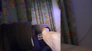 VID_20260129_070459.mp4Лажа полулысого еврейчика