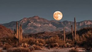 Гармония гитары и флейты  @Music_of_the_Valley