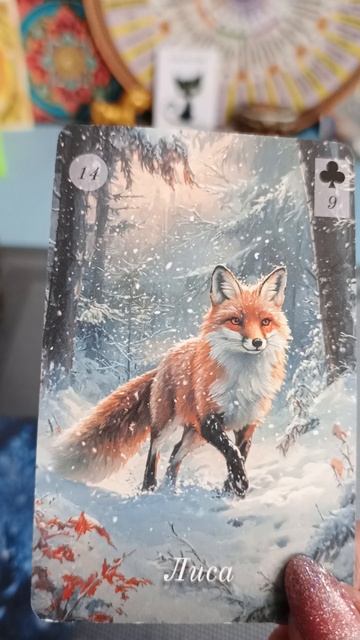 14-02-2026 года. Карта дня смотреть онлайн