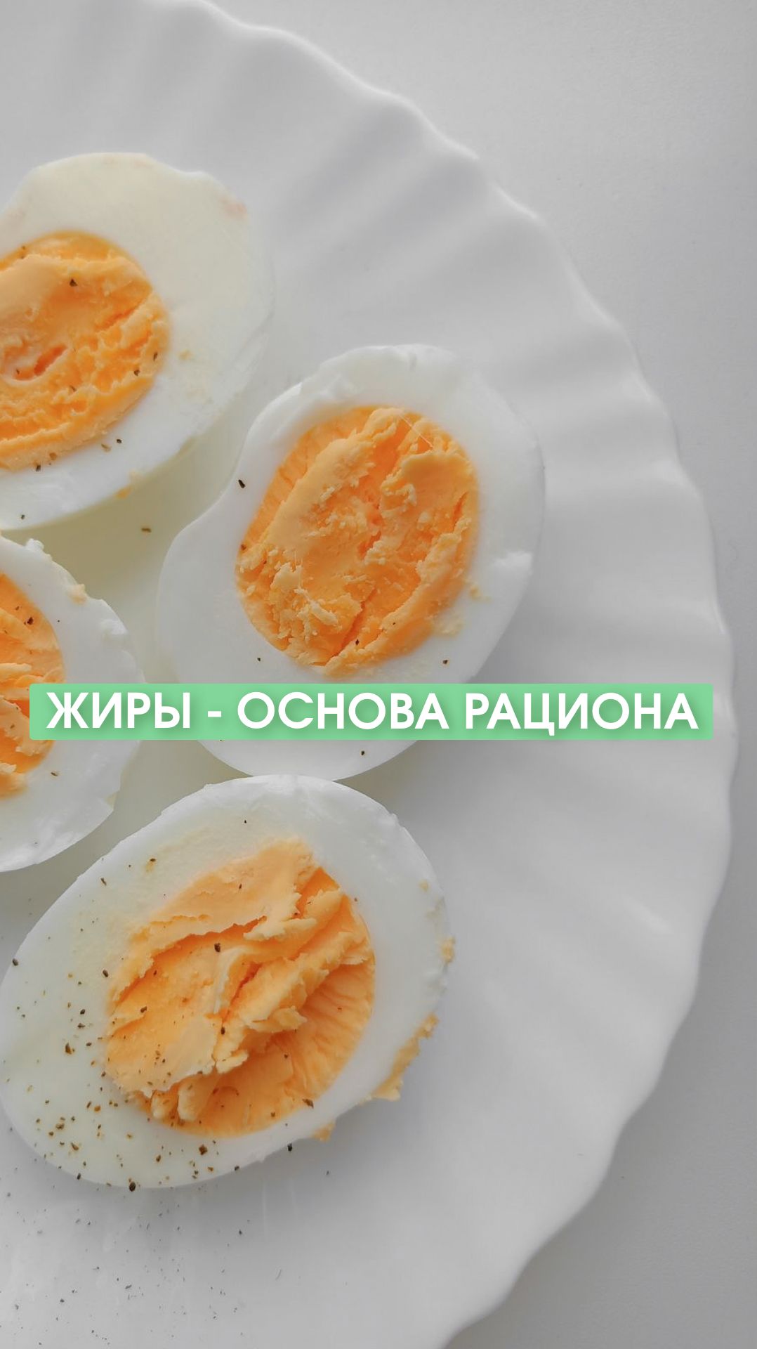 Жиры - основа рациона