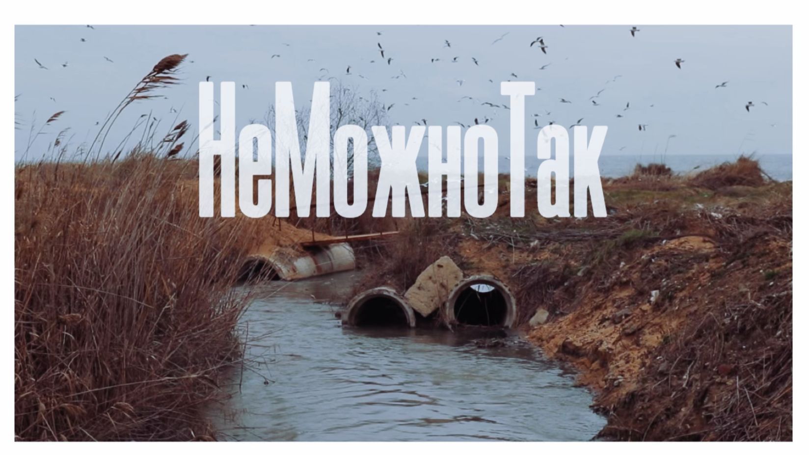 Воняйка / Часть I смотреть онлайн