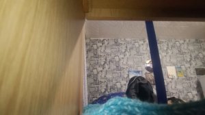 Room tour моей квартиры  часть 2