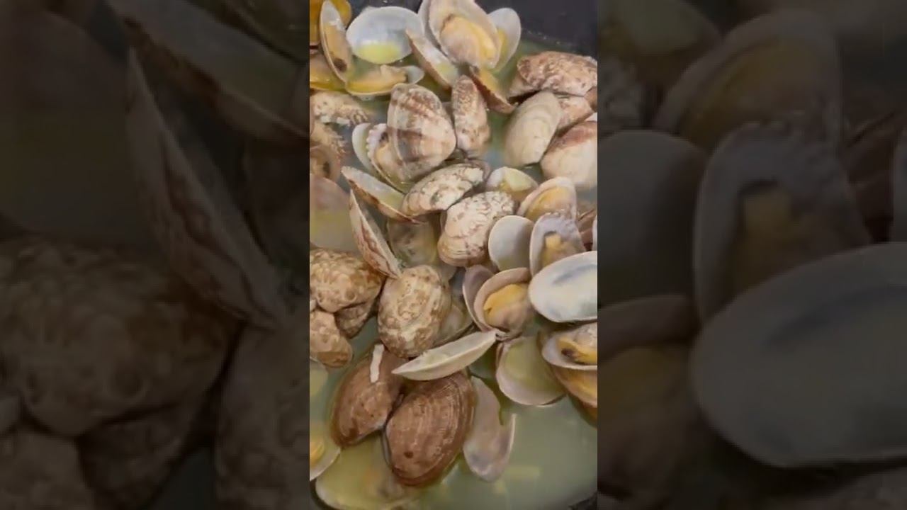 ВОНГОЛЕ из заморозки смотреть онлайн