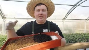 САЖАЕМ ПЕТУНИИ В КАШПО ТЕМА №4 БИЗНЕС НА ПЕТУНИЯХ ПРОСТО | БОРИС БОРИСОВ