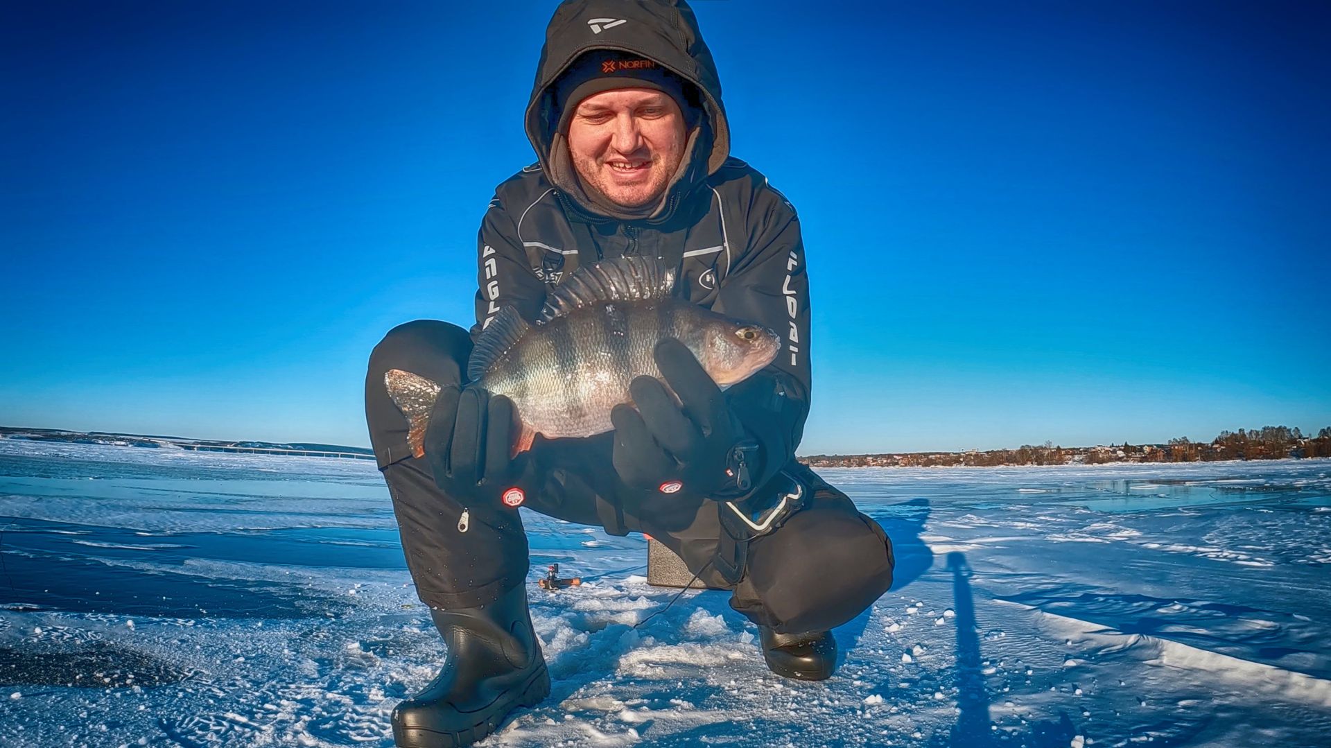 НАШЕЛ ПОКРУПНЕЕ! Ловля ОКУНЯ на балансир. Зимняя рыбалка на мотособаке Белка 8.