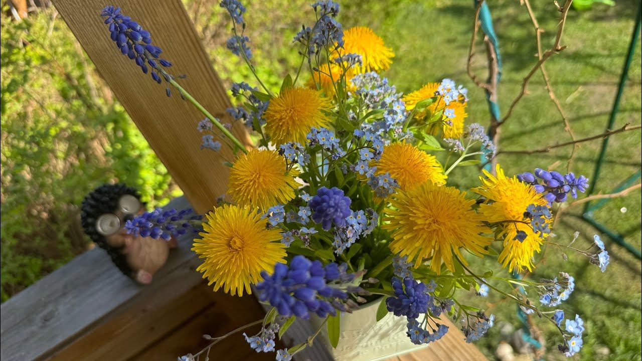 25.05.24 Влог: неделя отпуска на грядках! Капуста высажена, парник установили! смотреть онлайн