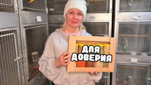 Набор "10 лакомств для доверия" | Сколько чего можно?