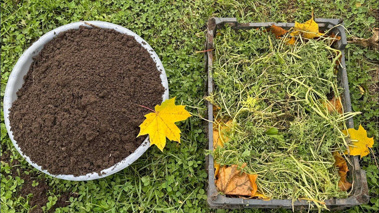 12.10.24 Влог: лук посадила, ящик для кабачка. Как дозарились перцы смотреть онлайн