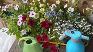 07-10.06.25 Влог: клумбы готовы, огурцы пошли! отпуск!