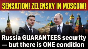 Запад в ШОКЕ 💥 Песков ШОКИРОВАЛ «Зеленский — БЕЗ посредников, у Путина в КРЕМЛЕ!!!