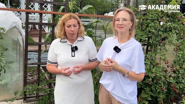 Как Марина Рыкалина сохраняет плодородие почвы на своем участке