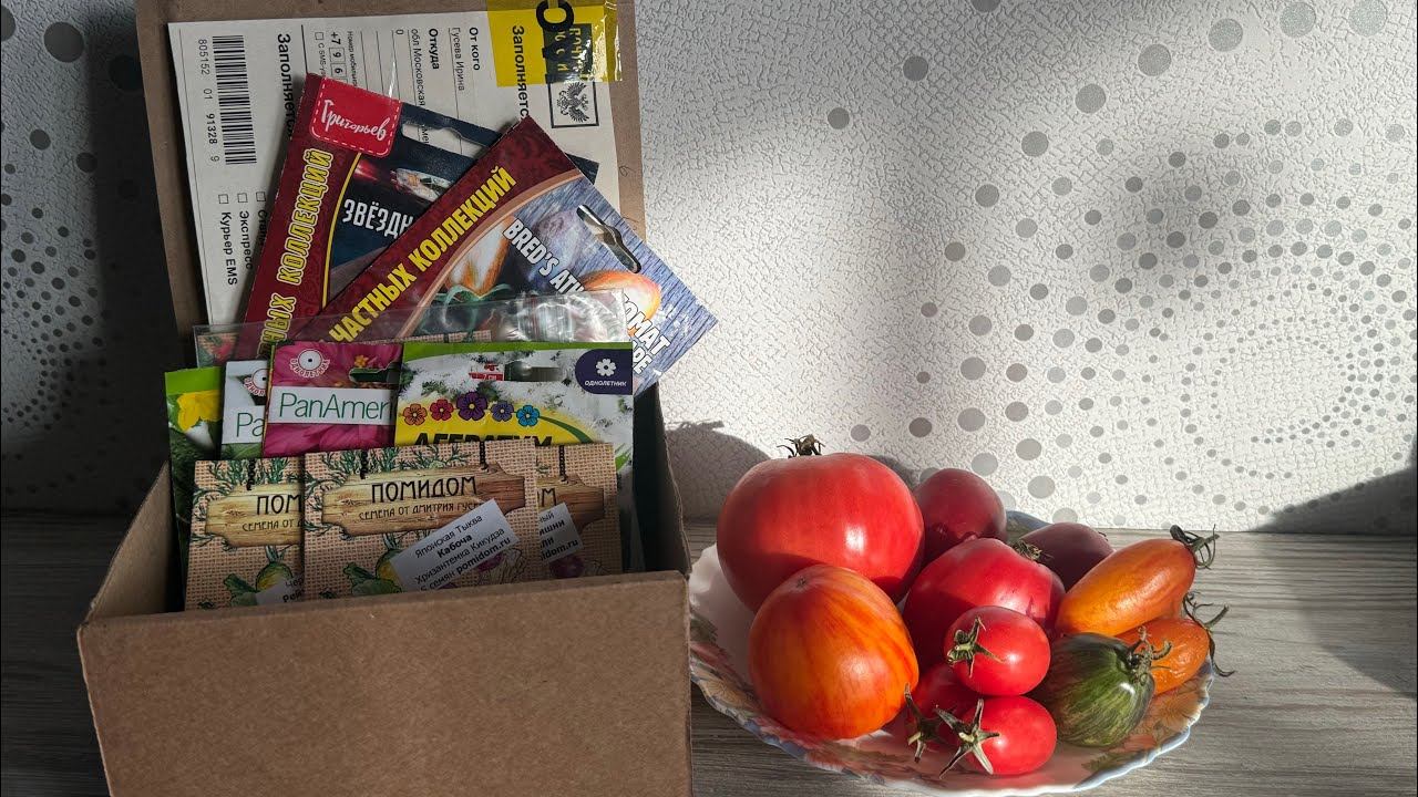 СЕМЕНА на 2025, за которыми я охотилась летом. 40 сортов и гибридов смотреть онлайн