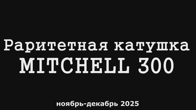 Mitchell 300