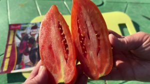 06.09.24 Влог: а физалис очень вкусный и томаты с валдберис