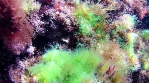 Путешествие в Крым. Часть 7. Чаша любви