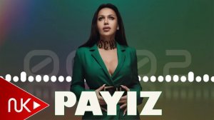 Reqsane ismayilova - Payiz