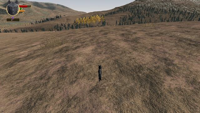 WolfQuestAE смотреть онлайн