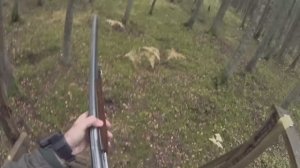 ОХОТА НА ЛОСЯ