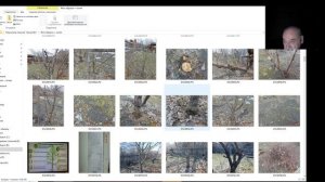 Обрезка смертельная и редко - спасительная. В.Железов. Серия 2.