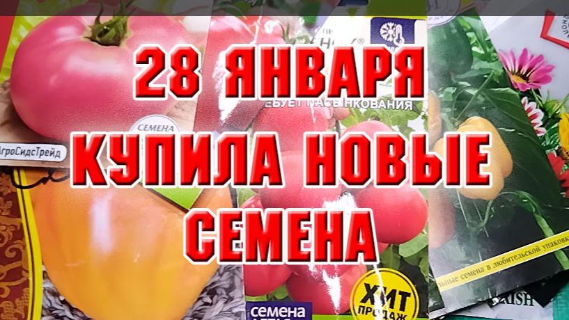 28 января. Обзор семян томатов и цветов