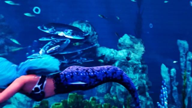 А что там в "Кроличьей норе?