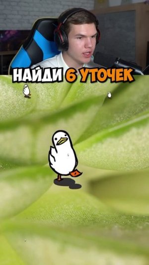 НАЙДИ 6 УТЯТ!😳🦆 #shorts #шортс #челлендж #прикол #мем #юмор #пранк #тест #зрение #смех #юмор