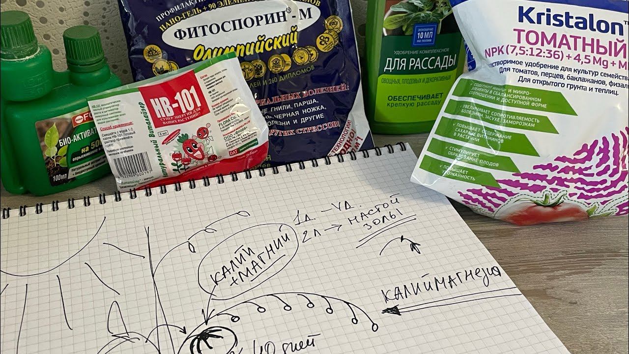 ТОМАТ. Подкормки от семечка до плода. смотреть онлайн