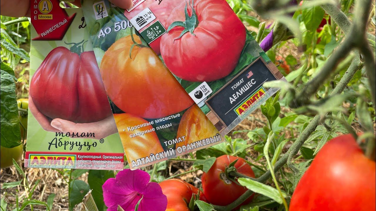 БИФ томаты. Обзор и дегустация: ПРОВАЛ и ВОСТОРГ! смотреть онлайн