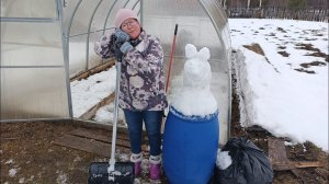 01.04.23 ВЛОГ. Розу раздавило, сезон открыт, посеяла, обрезала гортензию, бобры все обгрызли